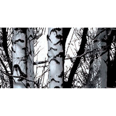 ФОЛИО ДЕКОРАТИВНО ДЪРВО 67.5Х200 СМ ФОЛИО ДЕКОРАТИВНО ДЪРВО 67.5Х200 СМ