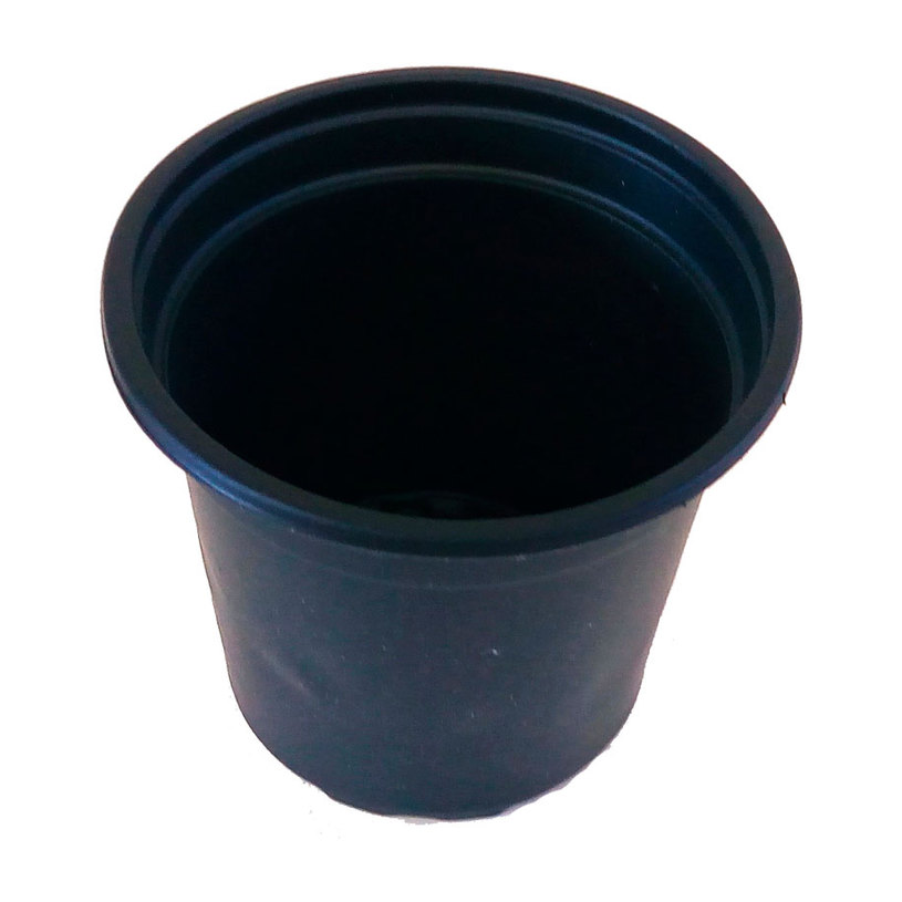 САКСИЯ ЗА РАЗСАД Ф9cm H8cm ЧЕРНА САКСИЯ ЗА РАЗСАД Ф9cm H8cm ЧЕРНА