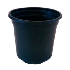 САКСИЯ ЗА РАЗСАД Ф9cm H8cm ЧЕРНА САКСИЯ ЗА РАЗСАД Ф9cm H8cm ЧЕРНА