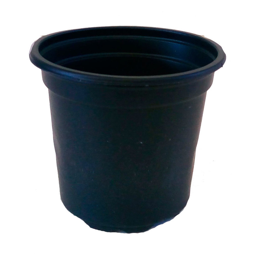 САКСИЯ ЗА РАЗСАД Ф9cm H8cm ЧЕРНА САКСИЯ ЗА РАЗСАД Ф9cm H8cm ЧЕРНА