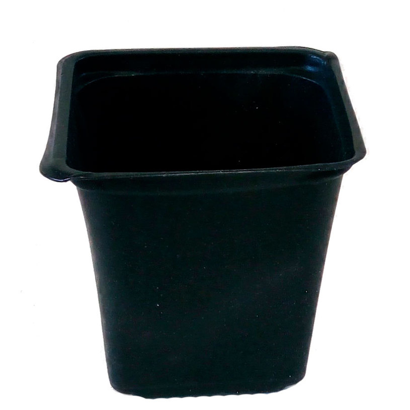 САКСИЯ ЗА РАЗСАД 8x8x8cm ЧЕРНА САКСИЯ ЗА РАЗСАД 8x8x8cm ЧЕРНА