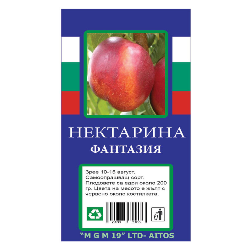 &НЕКТАРИНА &НЕКТАРИНА
