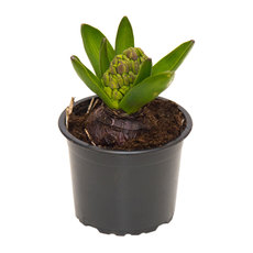 ЗЮМБЮЛ МИКС Ф9CM ЗЮМБЮЛ МИКС Ф9CM