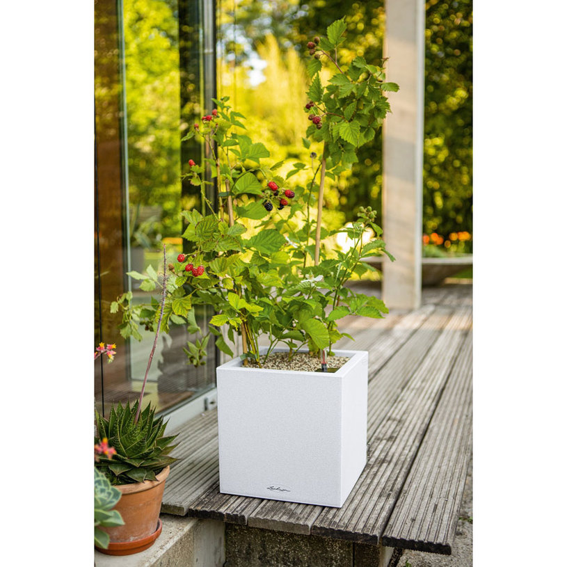 КАШПА НАП.С-МА CANTO 30X30X30СМ БЯЛ 1370 КАШПА НАП.С-МА CANTO 30X30X30СМ БЯЛ 1370