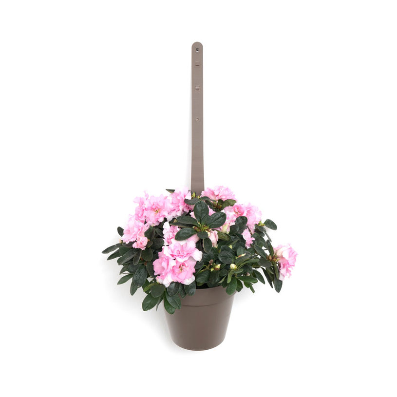 САКСИЯ ЗА ЗАКАЧАНЕ MY MOOD Ф18cm/2.8L бе САКСИЯ ЗА ЗАКАЧАНЕ MY MOOD Ф18cm/2.8L бе