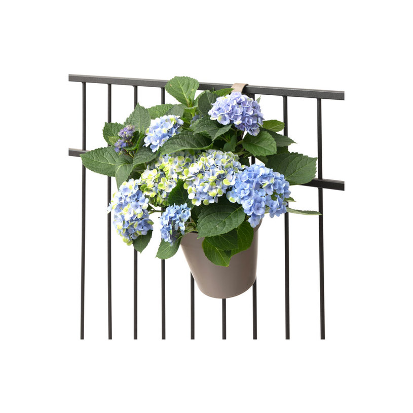 САКСИЯ ЗА ЗАКАЧАНЕ MY MOOD Ф18cm/2.8L бе САКСИЯ ЗА ЗАКАЧАНЕ MY MOOD Ф18cm/2.8L бе