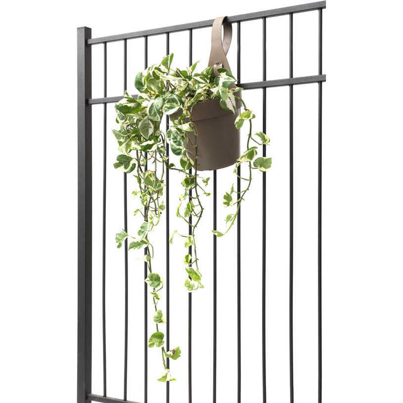 САКСИЯ ЗА ЗАКАЧАНЕ MY MOOD Ф18cm/2.8L бе САКСИЯ ЗА ЗАКАЧАНЕ MY MOOD Ф18cm/2.8L бе