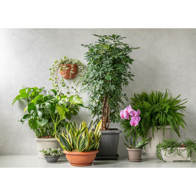 САКСИЯ С ПОДЛ. TERRAE BOWL Ф25cm/3L тера САКСИЯ С ПОДЛ. TERRAE BOWL Ф25cm/3L тера