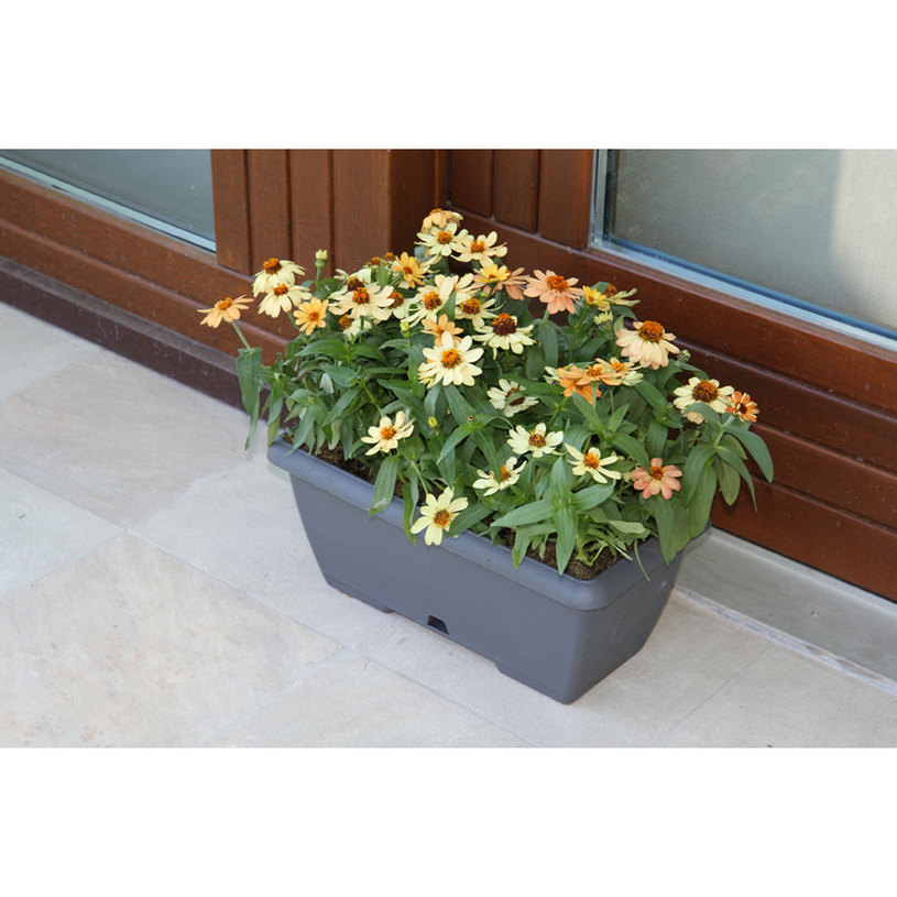 САНДЪЧЕ С ПОДЛ. TERRAE BOWL 50cm/3L сив САНДЪЧЕ С ПОДЛ. TERRAE BOWL 50cm/3L сив