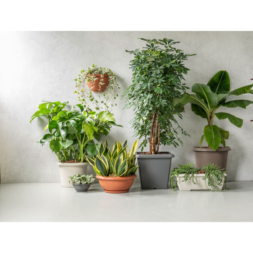 САНДЪЧЕ С ПОДЛ. TERRAE BOWL 50cm/3L бял САНДЪЧЕ С ПОДЛ. TERRAE BOWL 50cm/3L бял