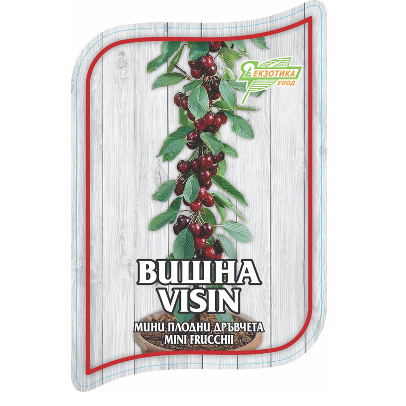 *МИНИ ПЛОДНИ ДРЪВЧЕТА В ПАКЕТ MIX *МИНИ ПЛОДНИ ДРЪВЧЕТА В ПАКЕТ MIX