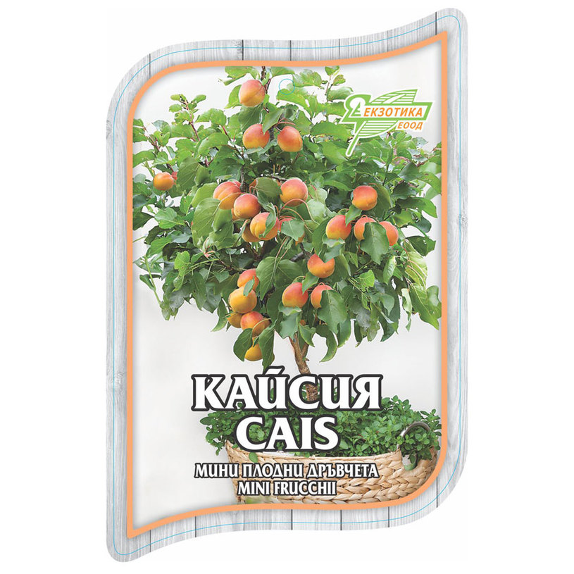 *МИНИ ПЛОДНИ ДРЪВЧЕТА В ПАКЕТ MIX *МИНИ ПЛОДНИ ДРЪВЧЕТА В ПАКЕТ MIX