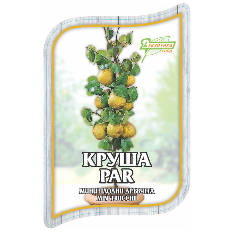 *МИНИ ПЛОДНИ ДРЪВЧЕТА В ПАКЕТ MIX *МИНИ ПЛОДНИ ДРЪВЧЕТА В ПАКЕТ MIX