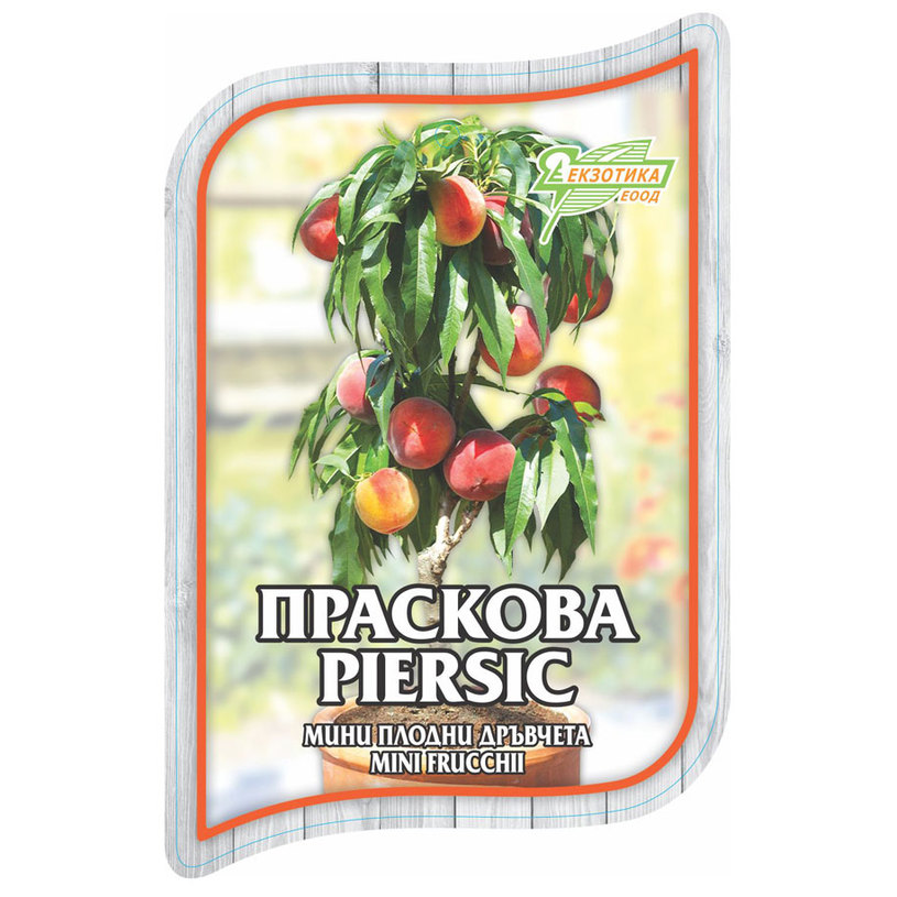 *МИНИ ПЛОДНИ ДРЪВЧЕТА В ПАКЕТ MIX *МИНИ ПЛОДНИ ДРЪВЧЕТА В ПАКЕТ MIX