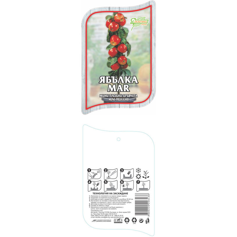 *МИНИ ПЛОДНИ ДРЪВЧЕТА В ПАКЕТ MIX *МИНИ ПЛОДНИ ДРЪВЧЕТА В ПАКЕТ MIX