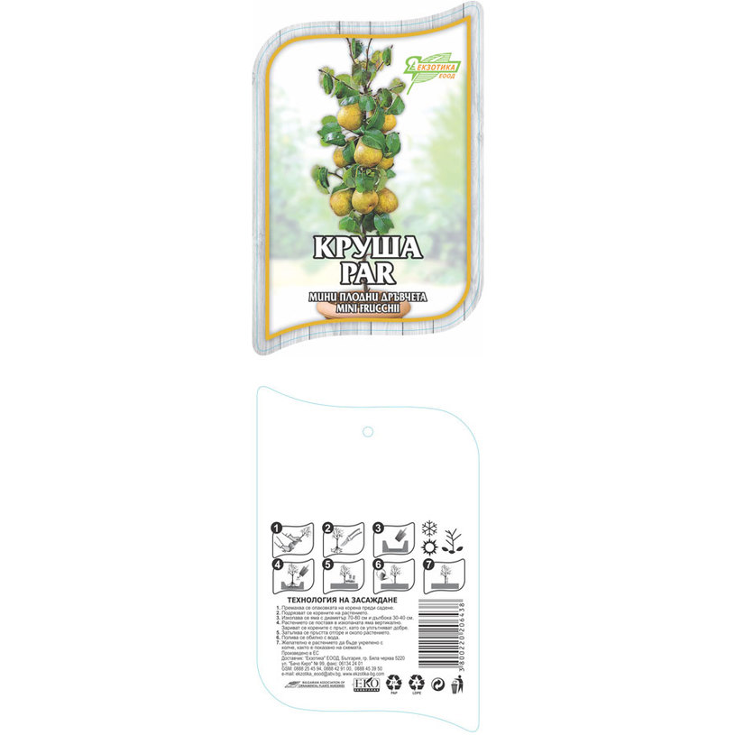 *МИНИ ПЛОДНИ ДРЪВЧЕТА В ПАКЕТ MIX *МИНИ ПЛОДНИ ДРЪВЧЕТА В ПАКЕТ MIX