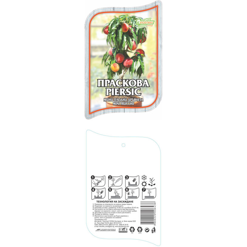 *МИНИ ПЛОДНИ ДРЪВЧЕТА В ПАКЕТ MIX *МИНИ ПЛОДНИ ДРЪВЧЕТА В ПАКЕТ MIX