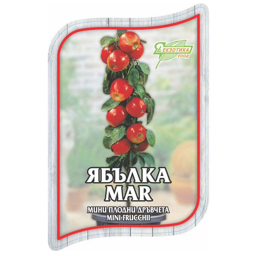 *МИНИ ПЛОДНИ ДРЪВЧЕТА В ПАКЕТ MIX *МИНИ ПЛОДНИ ДРЪВЧЕТА В ПАКЕТ MIX