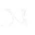 ГРАНИТОГРЕС CALACATTA WHITE 30X60 1.62^ ГРАНИТОГРЕС CALACATTA WHITE 30X60 1.62^