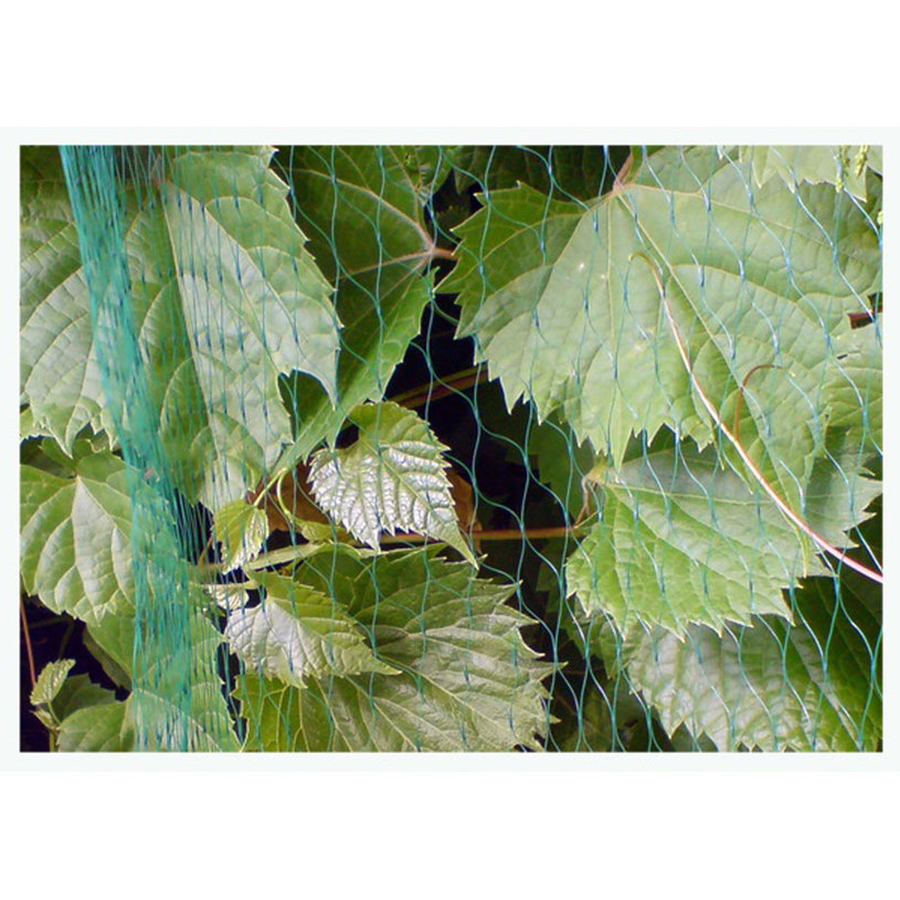 МРЕЖА ПРОТИВ ПТИЦИ 7g/m2, 19x19mm, 3x5m МРЕЖА ПРОТИВ ПТИЦИ 7g/m2, 19x19mm, 3x5m