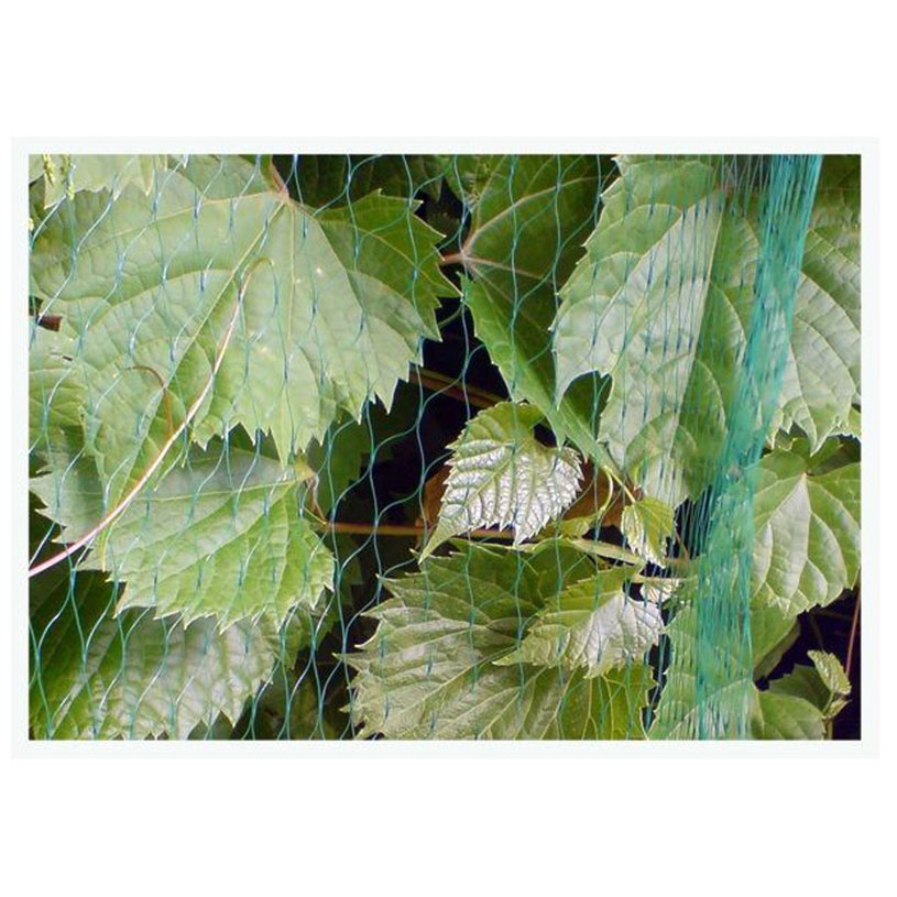 МРЕЖА ПРОТИВ ПТИЦИ 7g/m2 19x19mm 5x10m МРЕЖА ПРОТИВ ПТИЦИ 7g/m2 19x19mm 5x10m