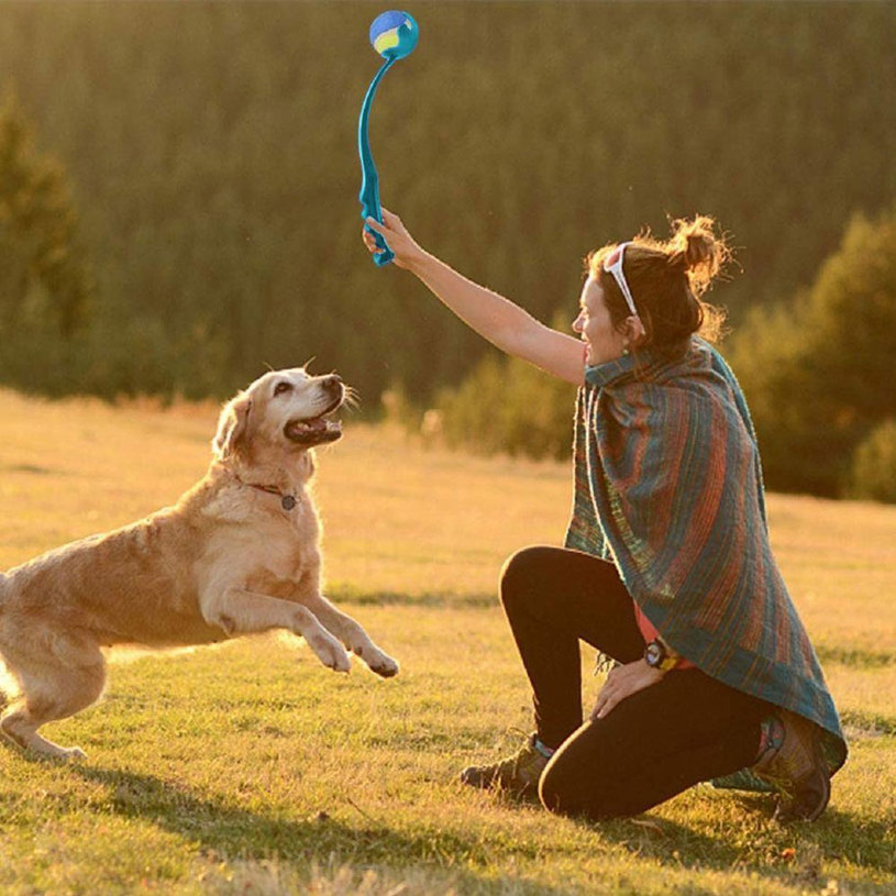 К-КТ ЗА ИГРА ДОМ. ЛЮБИМЕЦ +ТОПКА MIX К-КТ ЗА ИГРА ДОМ. ЛЮБИМЕЦ +ТОПКА MIX