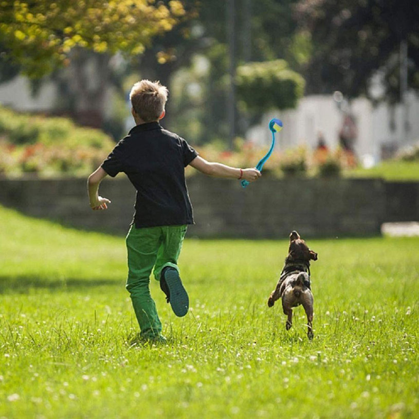 К-КТ ЗА ИГРА ДОМ. ЛЮБИМЕЦ +ТОПКА MIX К-КТ ЗА ИГРА ДОМ. ЛЮБИМЕЦ +ТОПКА MIX