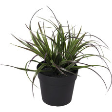 ИЗКУСТВЕНО РАСТЕНИЕ ТИЛАНДСИЯ 20СМ B378Z-39480-PP19 ИЗКУСТВЕНО РАСТЕНИЕ ТИЛАНДСИЯ 20СМ B378Z-39480-PP19