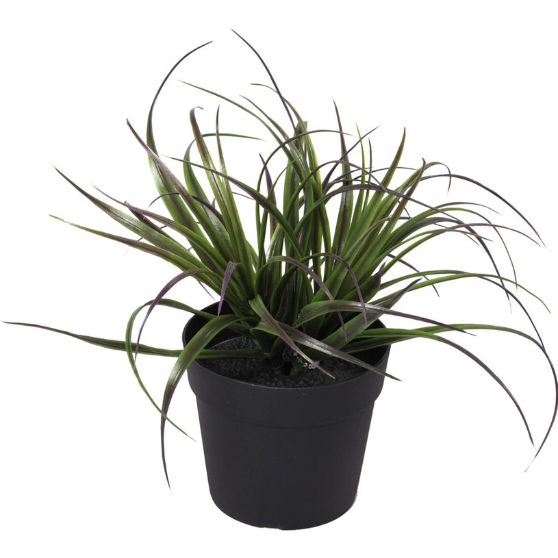 ИЗКУСТВЕНО РАСТЕНИЕ ТИЛАНДСИЯ С-Я H20CM ИЗКУСТВЕНО РАСТЕНИЕ ТИЛАНДСИЯ С-Я H20CM