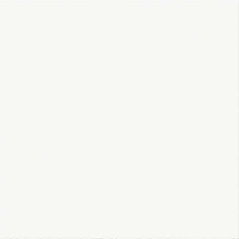 ГРАНИТОГРЕС ESSENZA P420 WHT 42X42 1.41 ГРАНИТОГРЕС ESSENZA P420 WHT 42X42 1.41