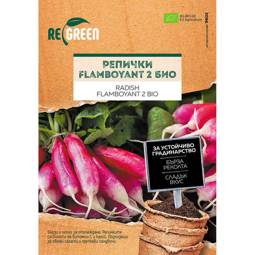 REGREEN ОРГ. СЕМЕНА РЕПИЧКИ FLAMBOYANT 2 REGREEN ОРГ. СЕМЕНА РЕПИЧКИ FLAMBOYANT 2