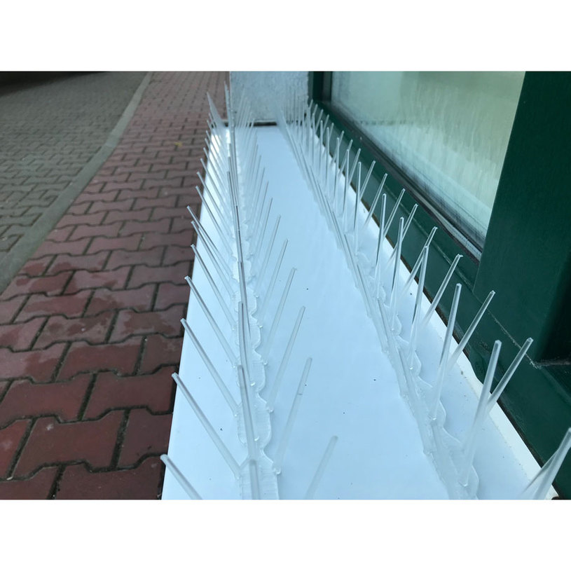 ШИП ПРОТИВ КАЦАНЕ НА ПТИЦИ ПРОЗРАЧЕН ШИП ПРОТИВ КАЦАНЕ НА ПТИЦИ ПРОЗРАЧЕН