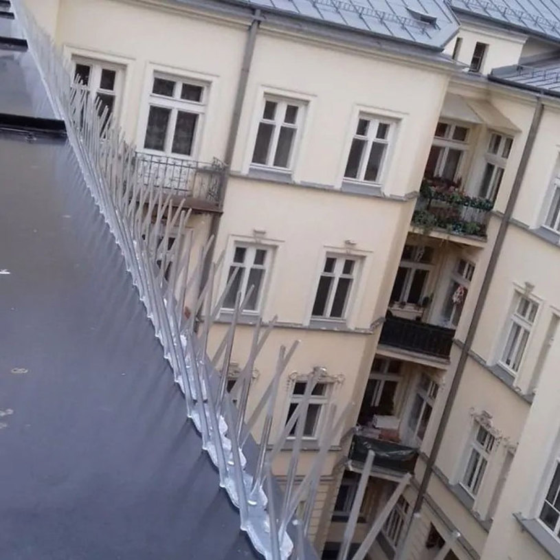 ШИП ПРОТИВ КАЦАНЕ НА ПТИЦИ ПРОЗРАЧЕН ШИП ПРОТИВ КАЦАНЕ НА ПТИЦИ ПРОЗРАЧЕН