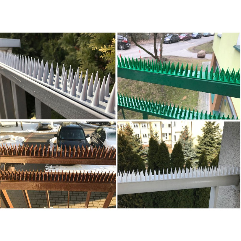 ШИП ПРОТИВ КОТКИ И ДИВИ ЖИВОТНИ БЯЛ ШИП ПРОТИВ КОТКИ И ДИВИ ЖИВОТНИ БЯЛ