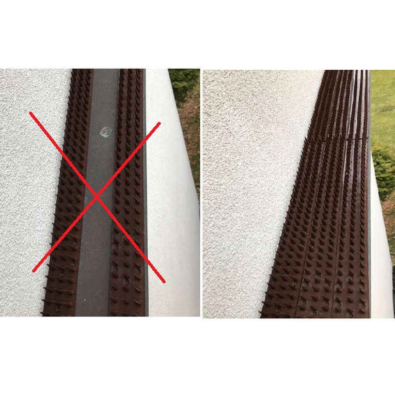 ШИП ПРОТИВ КОТКИ И ДИВИ ЖИВОТНИ ЧЕРЕН ШИП ПРОТИВ КОТКИ И ДИВИ ЖИВОТНИ ЧЕРЕН