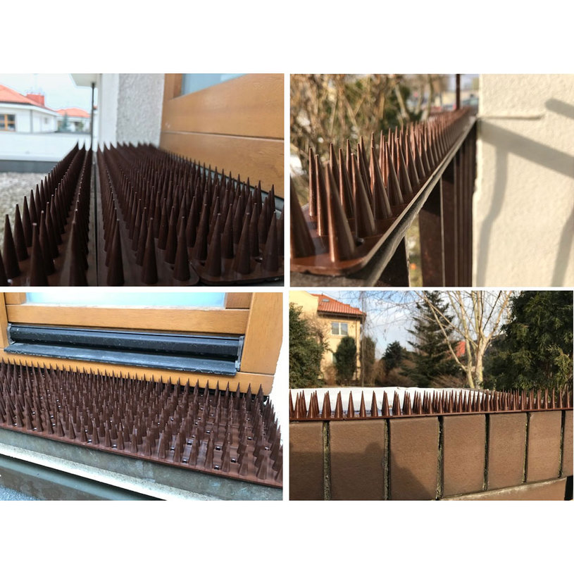 ШИП ПРОТИВ КОТКИ И ДИВИ ЖИВОТНИ ЧЕРЕН ШИП ПРОТИВ КОТКИ И ДИВИ ЖИВОТНИ ЧЕРЕН