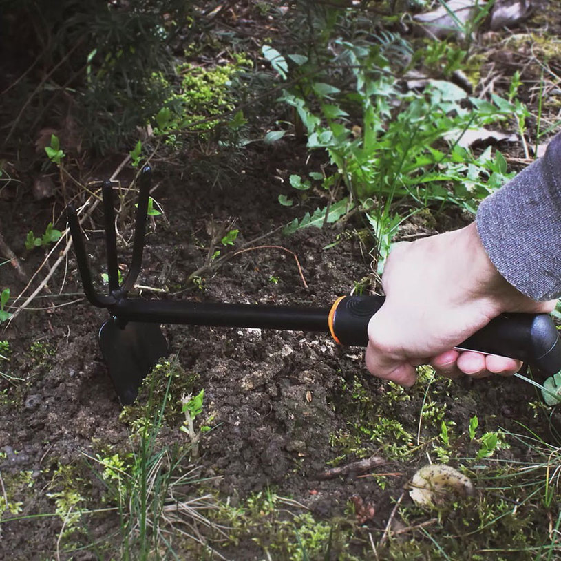 ГРАДИНСКА МОТИЧКА ГРАДИНСКА МОТИЧКА