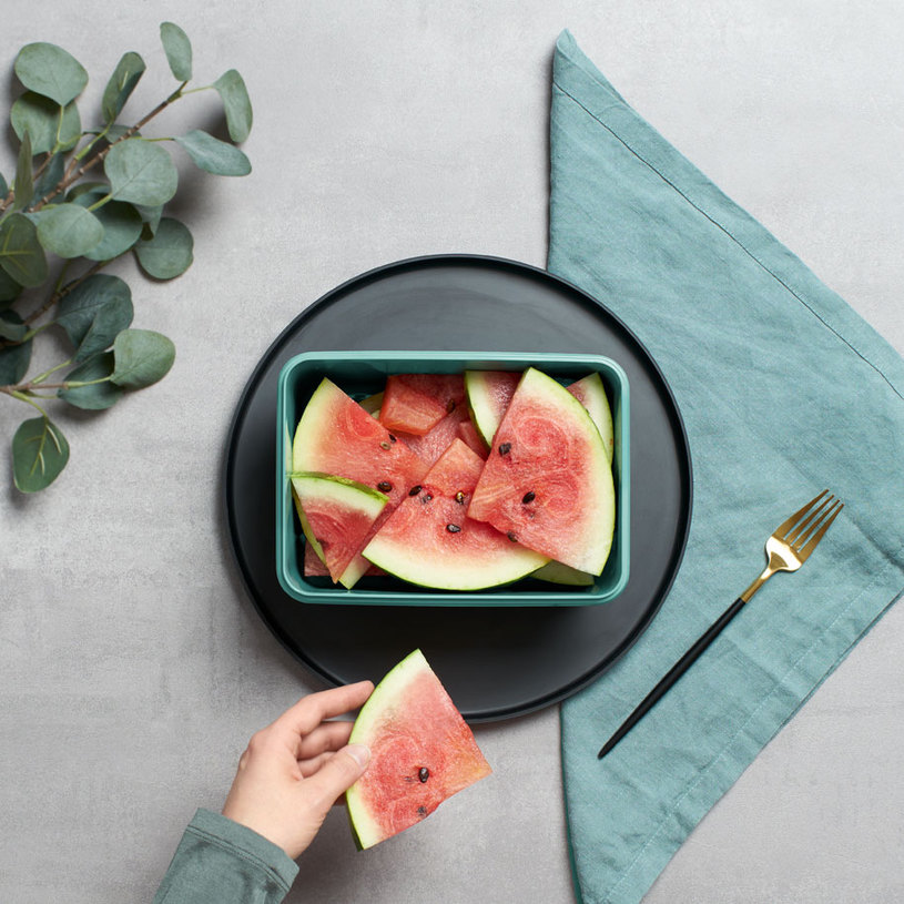 **КУТИЯ ЗА ХРАНА 2.2 L GREEN N1013010 **КУТИЯ ЗА ХРАНА 2.2 L GREEN N1013010