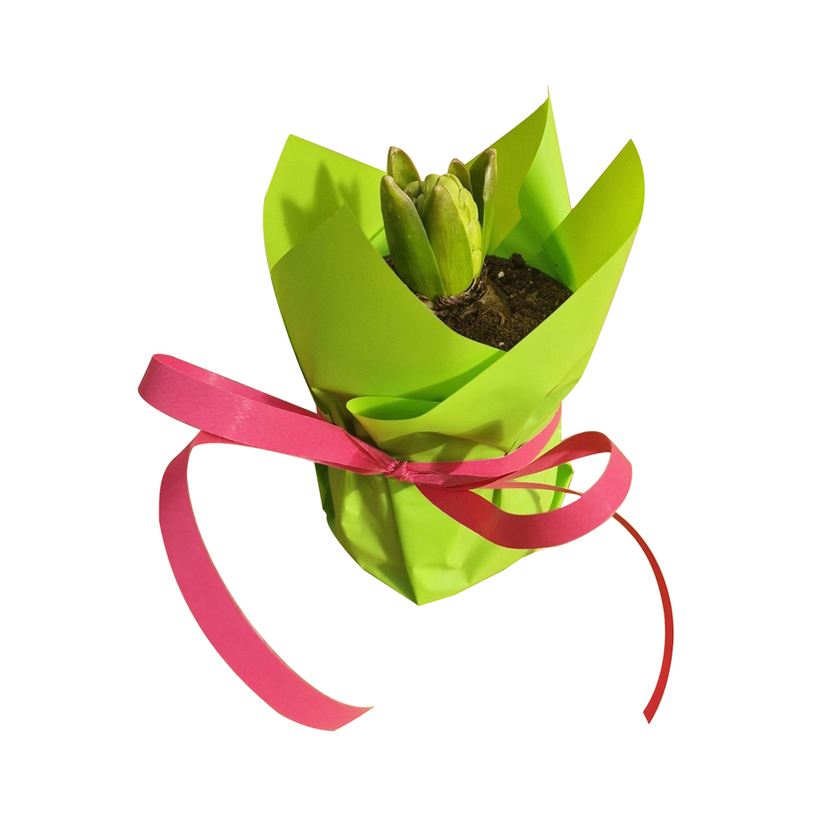 ЗЮМБЮЛ Ф9 С ОПАКОВКА ЗЮМБЮЛ Ф9 С ОПАКОВКА