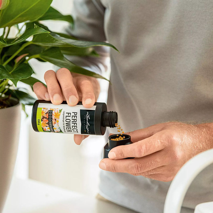 ДЪЛГОСРОЧЕН ТОР ЦЪФТЯЩИ Р-НИЯ 0.150kg Iг ДЪЛГОСРОЧЕН ТОР ЦЪФТЯЩИ Р-НИЯ 0.150kg Iг