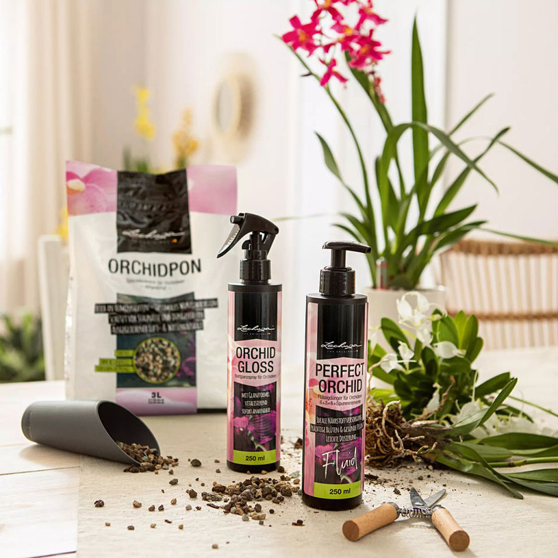 ТОР И ГЛАНЦ ЗА ОРХИДЕИ 0.250l Iгрупа ТОР И ГЛАНЦ ЗА ОРХИДЕИ 0.250l Iгрупа