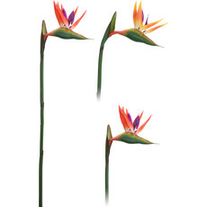 ИЗКУСТВЕНО ЦВЕТЕ СТРЕЛИЦИЯ 80CM H & S COLLECTION 318800120 ИЗКУСТВЕНО ЦВЕТЕ СТРЕЛИЦИЯ 80CM H & S COLLECTION 318800120