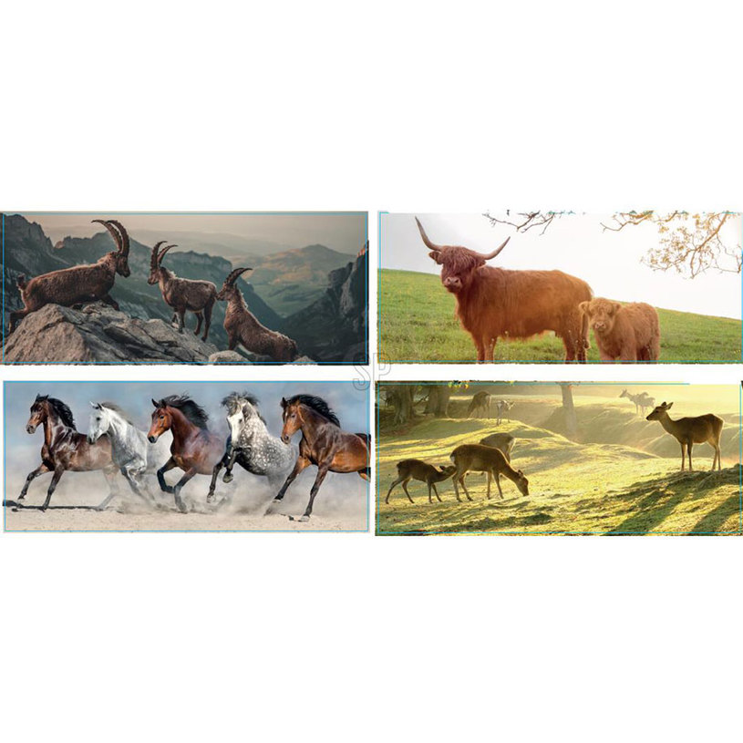 ГРАДИНСКИ ПЛАКАТ 110x45cm ГРАДИНСКИ ПЛАКАТ 110x45cm