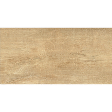 ГРАНИТОГРЕС IZIDA DAMIANI BEIGE 30X60 CM ГРАНИТОГРЕС IZIDA DAMIANI BEIGE 30X60 CM