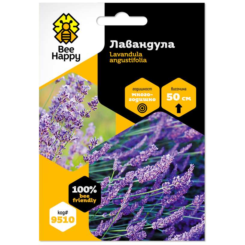 ЛАВАНДУЛА ЛАВАНДУЛА