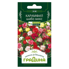 КАРАМФИЛ ШАБО СЕМЕНА ЗА ЦВЕТЯ ГРАДИНА КАРАМФИЛ ШАБО СЕМЕНА ЗА ЦВЕТЯ ГРАДИНА