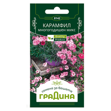 МНОГОГ. КАРАМФИЛ СЕМЕНА ЗА ЦВЕТЯ ГРАДИНА МНОГОГ. КАРАМФИЛ СЕМЕНА ЗА ЦВЕТЯ ГРАДИНА