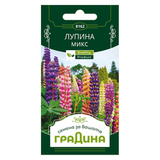 ЛУПИНА МИКС СЕМЕНА ЗА ЦВЕТЯ ГРАДИНА ЛУПИНА МИКС СЕМЕНА ЗА ЦВЕТЯ ГРАДИНА
