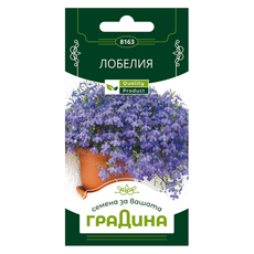 ЛОБЕЛИЯ СЕМЕНА ЗА ЦВЕТЯ ГРАДИНА ЛОБЕЛИЯ СЕМЕНА ЗА ЦВЕТЯ ГРАДИНА