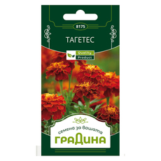 СЕМЕНА ТАГЕТЕС ЛИЛИПУТ ГРАДИНА СЕМЕНА ТАГЕТЕС ЛИЛИПУТ ГРАДИНА